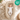 wendbares Babynest Classic - 100% Baumwolle